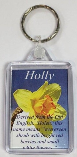 Holly Personalised Name Meaning Keyring
