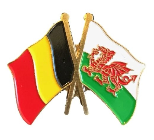 Wales & Canada Flags Friendship Courtesy Enamel Lapel Pin Badge 
